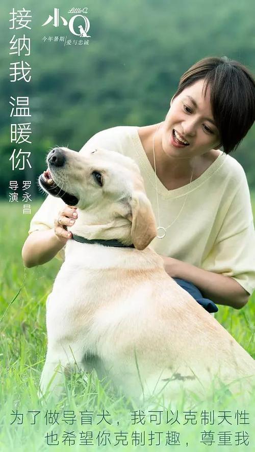 陕西高中毕业证样本
